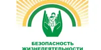 Безопасность жизнедеятельности